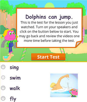 actions-dolphins test