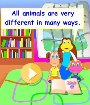 marine-animals video lesson