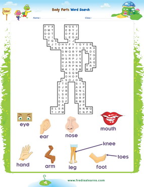 Body Wordsearch